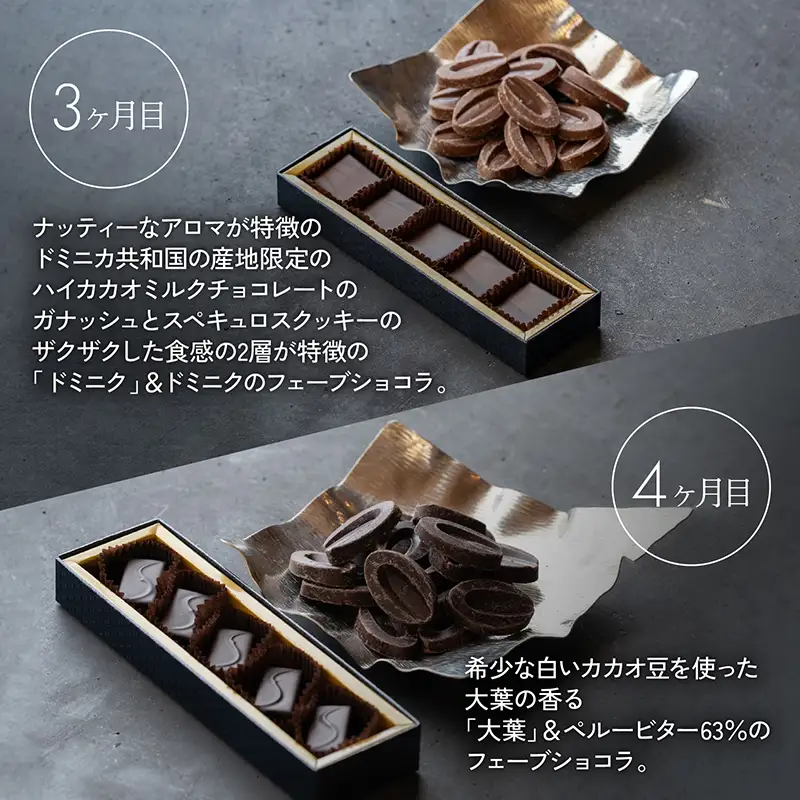 【定期便/6回】ボンボンショコラ5個&フェーブ80g（コイン状チョコレート）／NICOchocolaterie チョコレート チョコレート専門店 ボンボンショコラ スイーツ お菓子 贈答用 ギフト お取り寄せ 福岡県 小郡市 