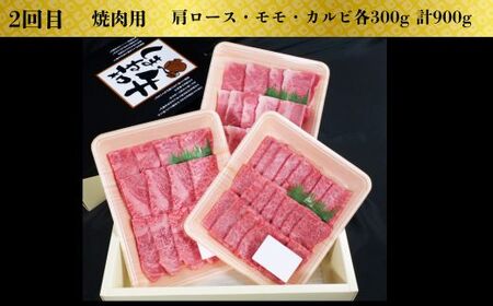 【定期便3回】美味しいしまね和牛を毎月楽しむ （肩ロース、カルビ、モモ）【黒毛和牛 おすすめ 冷凍 和牛オリンピック 肉質NO.1 セット 詰め合わせ ブランド牛 和牛 国産 肉 牛肉 赤身 霜降り ジューシー モモ肉 ロース すき焼き しゃぶしゃぶ 焼肉 ステーキ 島根県 安来市】【価格改定】【120-DC-75】