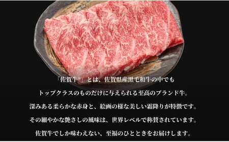 佐賀牛サーロインステーキ500g（250g×2枚）【やわらかでジューシー！】牛肉 黒毛和牛 極上の佐賀牛 厳選 500グラム お肉 おにく ギフト プレゼント 贈り物 N35-13