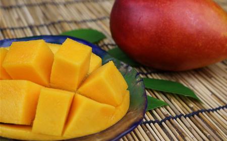 マンゴー 拠点産地【2026年発送】「宜野座村」秀品アップルマンゴー（約1kg）