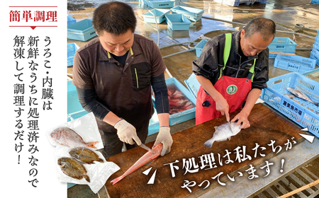 渥美魚市場の旬の鮮魚　おまかせ2種セット 下処理済み 魚セット 愛知県 田原市  鮮魚セット　鮮魚BOX