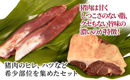 【伊豆産イノシシ肉】イノシシ肉希少部位セット（700g）猪肉 イノシシ肉 ジビエ 高タンパク 高たんぱく 低カロリー 低脂肪 焼肉 ヒレ ハツ 赤み 肉 お肉 山の幸
