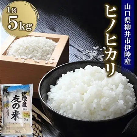 水稲うるち精米 5kg_ 精米 米 _【1573891】