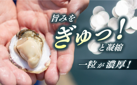養殖カキ 約1.3kg [RCN001] 牡蠣 牡蠣 牡蠣 牡蠣 牡蠣 牡蠣九州 長崎 