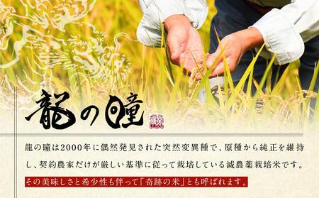龍の瞳で作った米焼酎 25度 720ml | 酒 お酒 さけ 焼酎 米焼酎 人気 おすすめ 飛騨高山 おみやげ処 三川屋 LH015