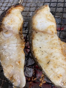 a15-670　銀だらの「磯自慢」粕漬