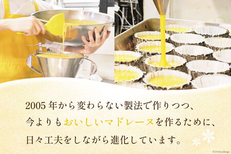 【TVで紹介！】 菓子 お山のマドレーヌ 6個入り [オーイング・K 宮城県 南三陸町 m304amh790008]