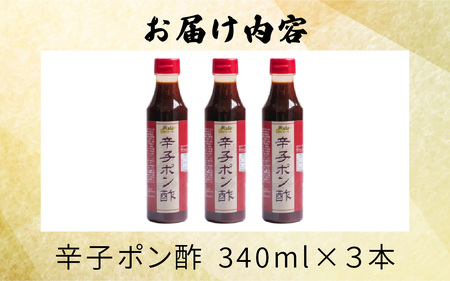 天山味シリーズ 辛子ポン酢 340mlx3本 ご当地 土産 福井 永平寺町 詰め合わせ　[A-065002] ぽん酢 辛子 冷奴  キッチン天山