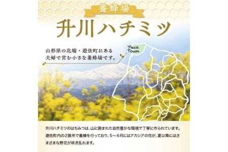 山形県遊佐町産 純粋はちみつ 1000g 百花蜂蜜 生はちみつ 国産 天然 ナチュラル ピュア ハニー 日本製 健康 非常食 升川ハチミツ 遊佐町 庄内 東北 [1558]