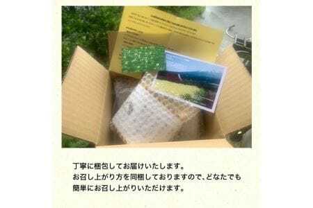 親鳥の煮込み 「ばんば鳥」 200g×6袋 計1200g 冷凍便 ※離島発送不可 無着色 鶏肉 煮物 惣菜 手づくり 手作り 醤油味 しょうゆ味 おかず おつまみ 時短 レンジ調理 温めるだけ 個包装 小分け 東北 山形県 遊佐町 庄内 [1574]