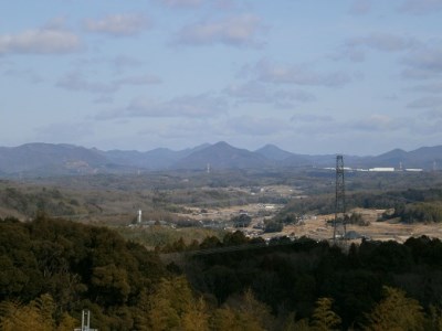 【定期便】芳醇、吟香る山田錦入りビール「吟米麦酒」5本セット「6回お届け」【北海道・沖縄・離島　配送不可】