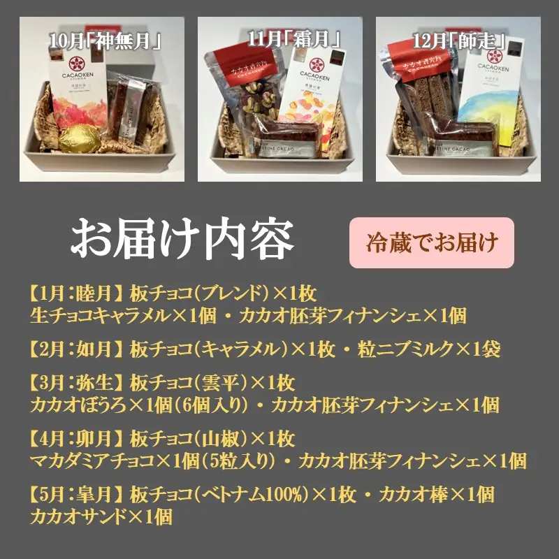 カカオ研究所 チョコレート菓子詰合せセット【12カ月定期便】【J17-001】