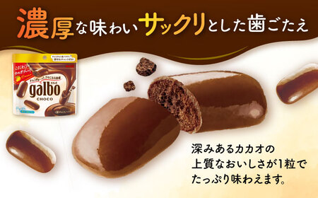 ガルボチョコ パウチ 48袋[AOAA028] チョコレート