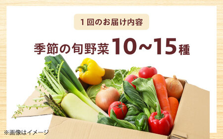 【全12回】高槻野菜 おまかせ詰め合わせ定期便 （10種〜15種）[AOCS021]野菜