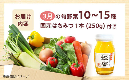 高槻野菜詰め合わせ 3月（10〜15種）＆はちみつ セット[AOCS022]野菜セット