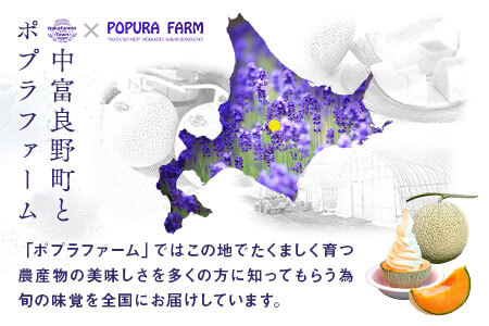 【2026年発送】【ポプラファーム】富良野メロン大玉2玉（計4㎏以上秀品）【BC-004】