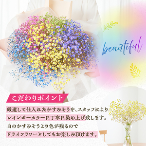 【佳花園】レインボーかすみそう 花束[156K03]