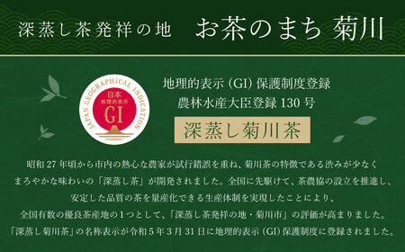 菊川深蒸し茶（5袋 計500g）とフィルターインボトル（1本）セット ｜ お茶 日本茶 煎茶 深蒸し茶 飲み物 静岡県 菊川市 牧之原産 静岡茶