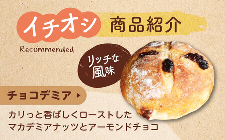 【12回定期便】 ハード系パン お楽しみバラエティーセット 10〜13点 【パンの店 カッタン】 パン 食パン 大人気[MEJ016]