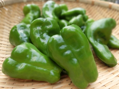 【先行予約】 令和8年産 トウモロコシと夏野菜セット セブンティーントウモロコシ ピーマン 長茄子 キュウリ 枝豆 2026年8月上旬～下旬頃 お届け予定