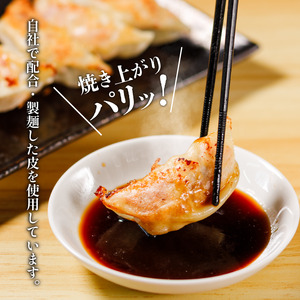 えひめの美味しい厳選餃子 あさの生餃子 もち〇生餃子 セット【5パック 計125個】セット 詰め合わせ 餃子のたれ 国産 ぎょうざ 餃子 餃子 餃子 餃子 餃子 餃子 餃子 餃子 餃子 【ASN0031】