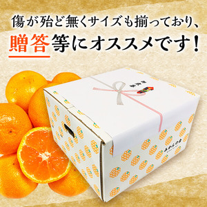 MK1001_【2026年先行予約】みかん Ｓサイズ 秀品 箱込 2.5kg ( 内容量 2.3kg ) 有田みかん 濃厚 甘み 濃縮 温暖 好条件 和歌山県産 産地直送 贈答用 贈り物 ギフト のし対応 フルーツ デザート 和歌山県 湯浅 お取り寄せ お取り寄せフルーツ 送料無料 みかんの会