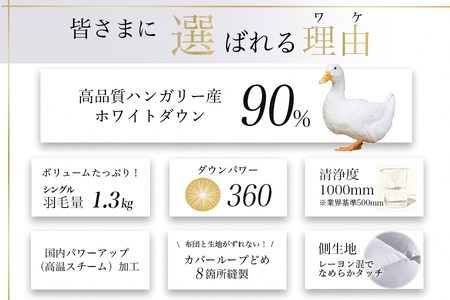 【パウダーグレー】羽毛布団 本掛け布団 シングル アクア