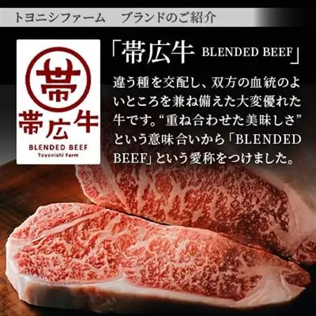 雪美和牛・帯広牛・豊西牛　豪華3種ステーキ食べ比べセット_肉 ステーキ 牛肉 ビーフステーキ_【配送不可地域：離島】【1556368】
