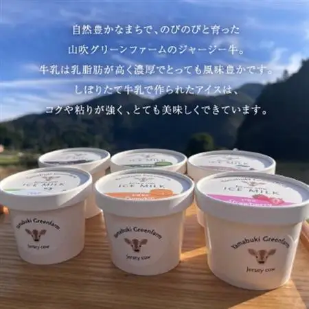 ジャージー牛の生乳を使用したアイス6個セット(ミルク・チョコ・コーヒー・いちご・抹茶・かぼちゃ)【配送不可地域：離島】【1576638】