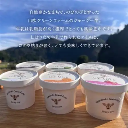 ジャージー牛の生乳を使用したアイス12個セット【配送不可地域：離島】【1576692】
