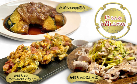 かぼちゃ 【数量限定】備前黒皮かぼちゃ (１玉) 