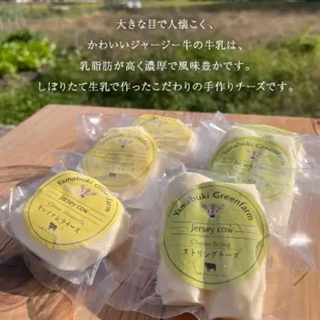 ジャージー牛のチーズ　2種セット【配送不可地域：離島】【1576776】