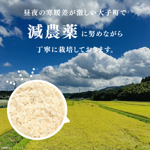 【 令和7年産】つやつや光るコシヒカリ 5kg 菊池農園｜茨城県 大子町 お米 白米 精米 産地直送（CL001-1）