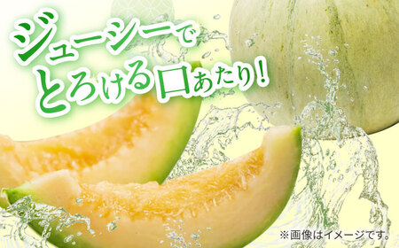 【2027年4月下旬-発送】【根強い人気!】 訳あり プリンスメロン 約4kg（7?13玉）傷もの / メロン めろん フルーツ 果物 / 南島原市 / 南島原果物屋[SCV024]