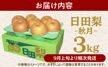 【先行予約・26年9月以降発送】梨 あきづき 3kg 日田 梨[ARBB003]