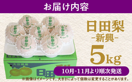 【先行予約・26年10月以降発送】梨 新興 5kg 梨 [ARBB005]