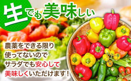 【特別栽培】 農家セレクト日田の厳選食材 詰め合わせ 日田市 野菜 果物 米 産地直送 新鮮 セット [ARBR001]