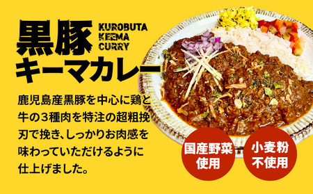 VOUL バラエティセット（ チキン3食 キーマ3食 ） K315-003 肉 豚肉 鶏肉 惣菜 総菜 冷凍 カレー