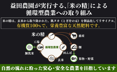 【なら育ち 益田農園】たねなし柿　訳アリ　約7kg(28玉～36玉）｜フルーツ 果物くだもの 柿 かき カキ  柿 奈良県 五條市
