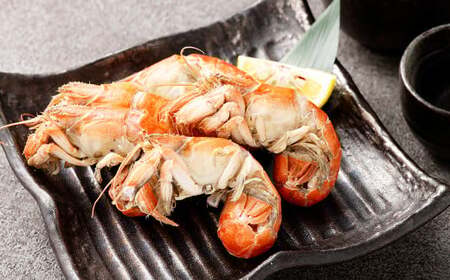 熊本県産冷凍マジャク 約600g 天然 マジャク 珍味 天ぷら 揚げ物 おつまみ 冷凍 熊本県産