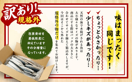 【訳あり規格外】 業務用 無添加 無塩さば どーんと! 3kg 鯖 さば サバ 魚 お魚 さかな 魚介 魚介類