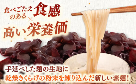 【お中元対象】きくらげ麺 そうめん (20束) ADBA012 そうめん 人気 おいしい