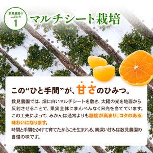ゆら早生みかん 10kg ※2026年10月上旬頃～10月下旬頃に順次発送予定 ※沖縄・離島配送不可【kzmn003-r-10】