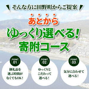 返礼品は後からゆっくり選べる寄附コース★D★ あとから選べる おすすめ 人気 カツオのたたき うなぎ 肉 酒 塩 魚 500000円