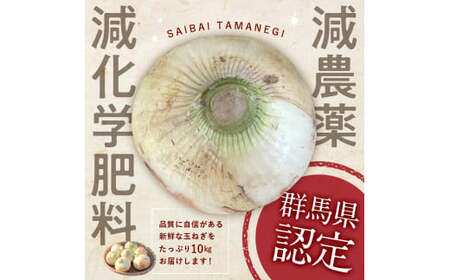 ＜2026年発送 先行予約＞甘すぎる新鮮玉ねぎ 10kg（2026年6月20日～7月15日頃出荷） 減農薬減 化学肥料 生食 たまねぎ 玉ねぎ タマネギ 野菜 食品 F21E-206