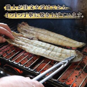 うなぎ 蒲焼 大姿焼き 2尾 140g×2 【全6回定期便】 | 鰻 鰻