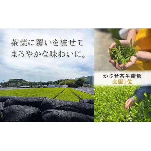 保存料・着色料は使用せず、三重県産高級小麦粉を使ったHideka.5のパウンドケーキ　かぶせ茶と黒豆のパウンドケーキ　フルサイズ1本　Hideka.5【パウンドケーキ お取り寄せ グルメ スイーツ お菓子 おやつ 洋菓子 ケーキ かぶせ茶 お茶 黒豆 ギフト 贈り物 三重県 四日市市 四日市】