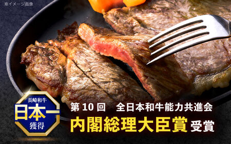 【6回定期便】長崎和牛 ステーキ用部位×6回定期便[OCE107]