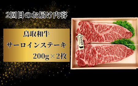 【3回定期便】鳥取和牛 焼肉コース【やきにく 焼き肉 焼肉 モモ サーロイン ステーキ バラ 肩ロース 定期 3回 頒布会 コース ご自宅用 お取り寄せ グルメ プレゼント 冷凍】