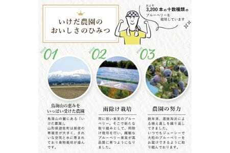 大粒ブルーベリー 500g×2パック 計1kg 化粧箱入 6月下旬～7月上旬頃お届け 山形県遊佐産 冷蔵便 ※着日指定・離島発送不可 果物 くだもの フルーツ ブルーベリー 国産 東北 山形県 遊佐町 庄内[1417]